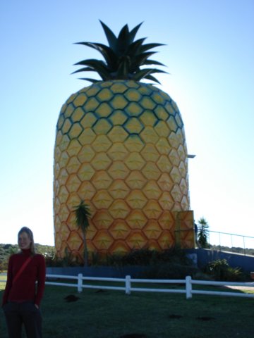 pineapple.jpg